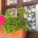 Hotel Rural Entremontes