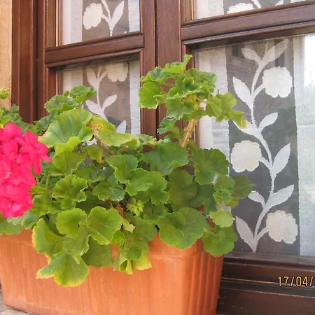 Rural Entremontes Hotel 2*